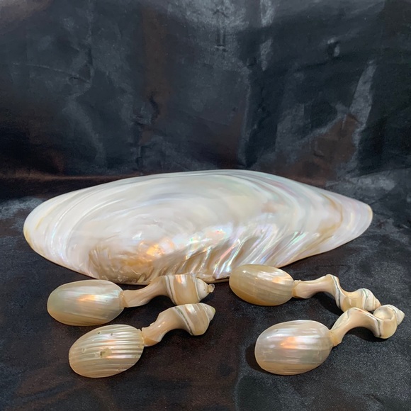 Polished Pearlized Large Clamshell Serving Dish and 4 Conch & Clamshell Spoon - Picture 6 of 12